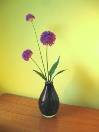 Allium vased