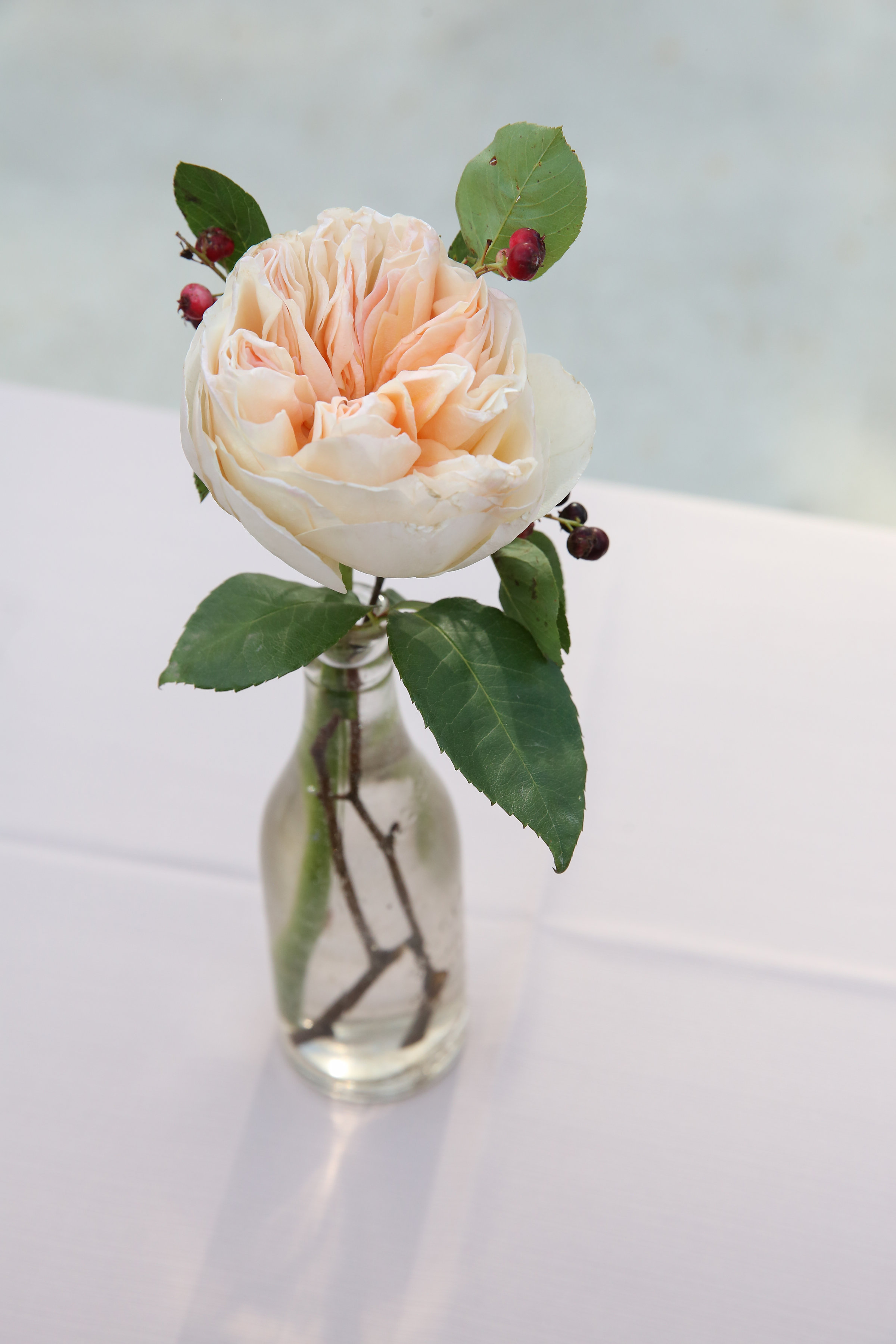 Single garden rose in pale salmon with berries for early summer wedding reception.