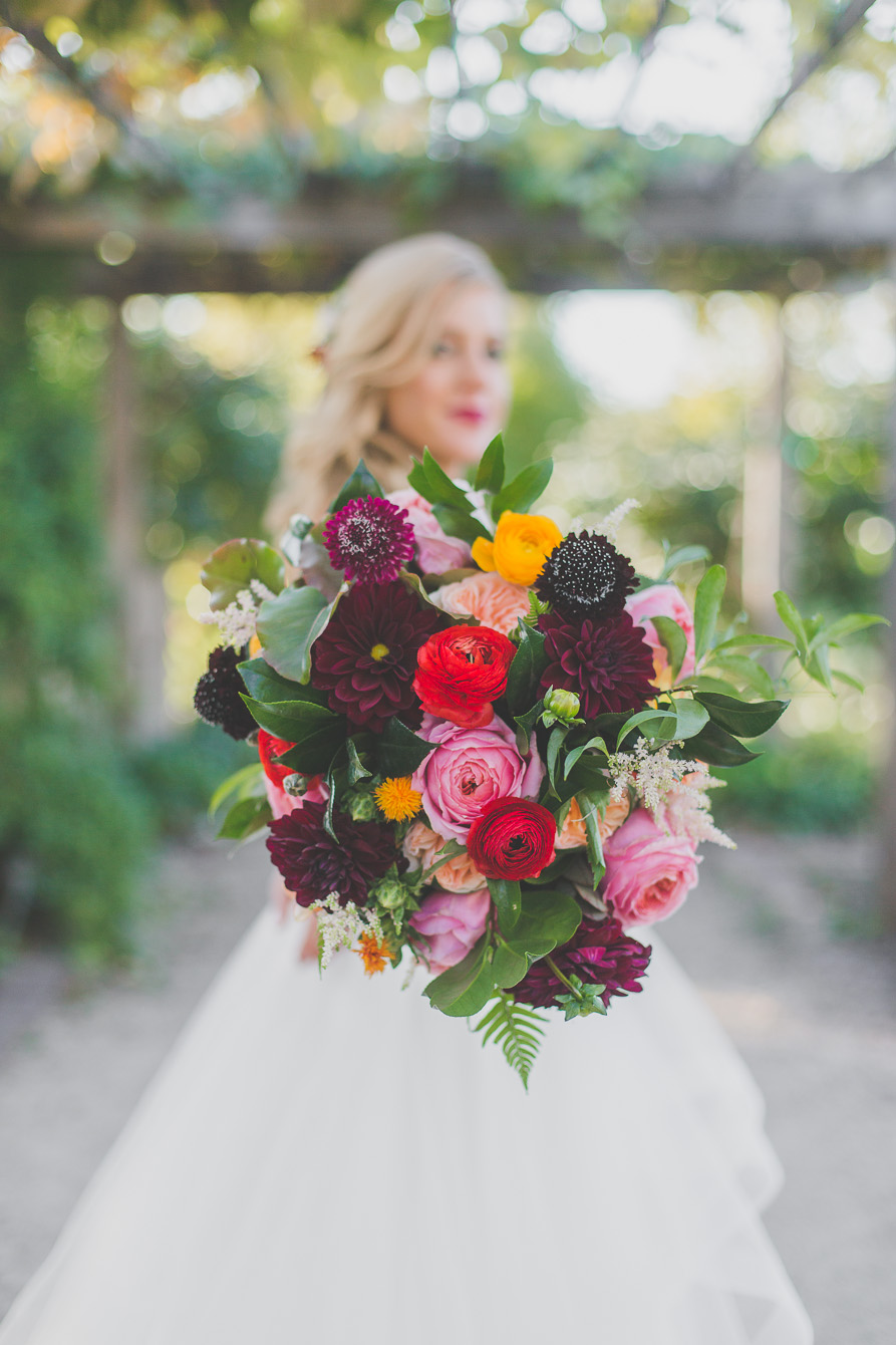 Fall bride with bridal bouquet of plum scabiosa and dahlias, red and bright yellow ranunculus, pink and peach garden roses, and ivory astilbe.