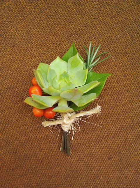 Summer boutonniere with succulents, berries, and rosemary.