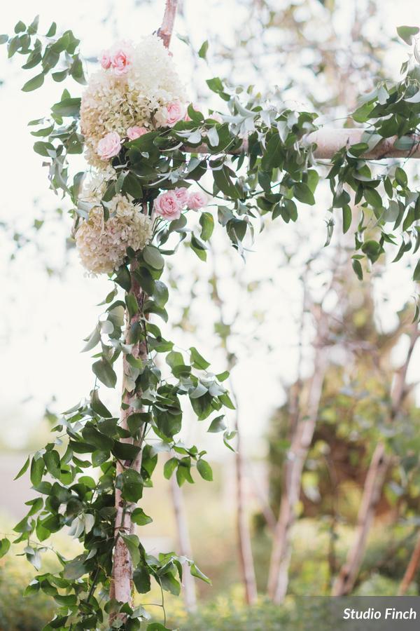 Birch wedding arch, sprawling vines, hydrangea