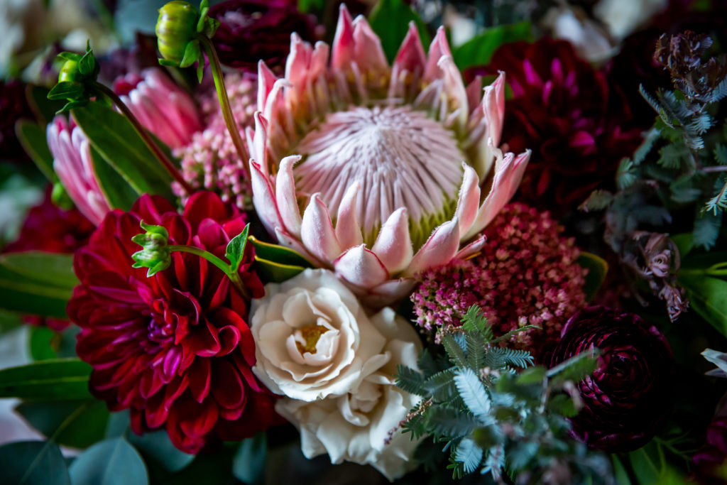 Details of a jewel-toned bridal bouquet with protea, garden roses, scabiosa, purple acacia and white majolika for a wedding at Revolution Brewing. 