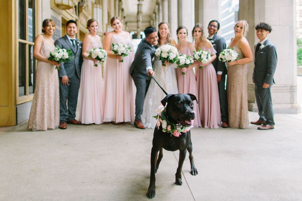 Summer wedding party with dusty rose dresses, black dog with pink flower collar, and bouquets of ivory garden roses, ranunculus, and peonies.